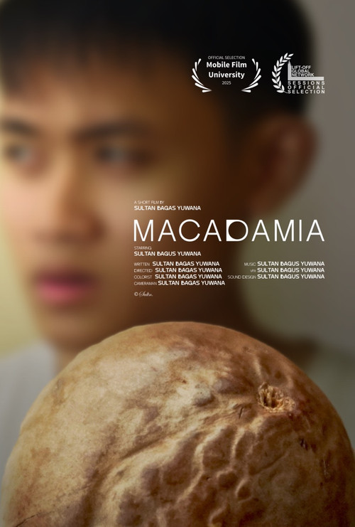 Macadamia