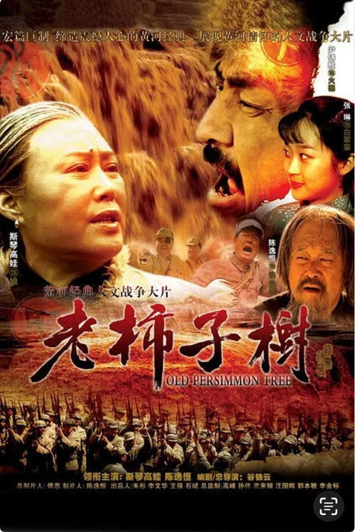 老柿子树