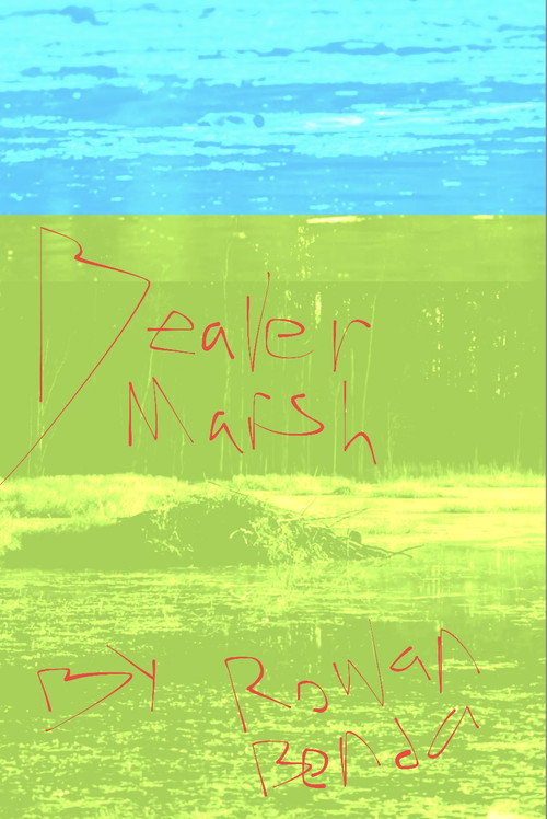 Beaver Marsh