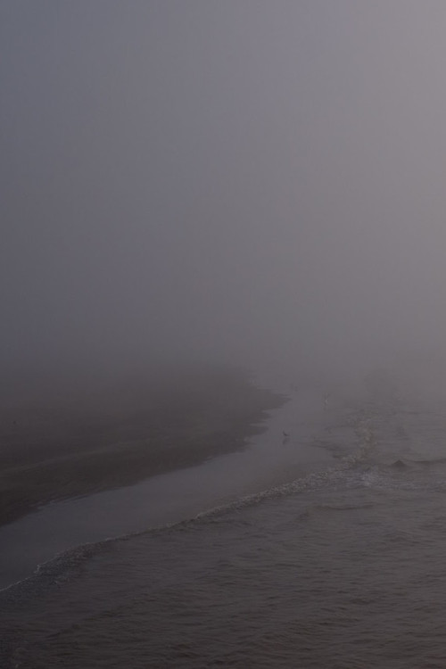 Niebla