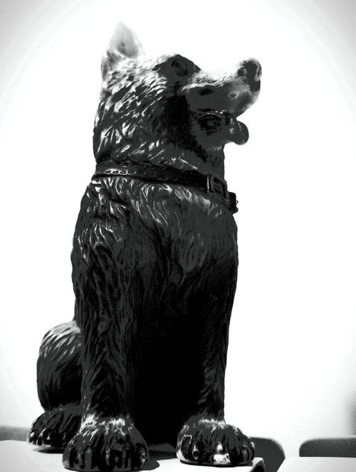The Dog of Sarandi Alley