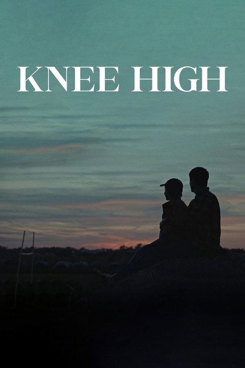Knee High