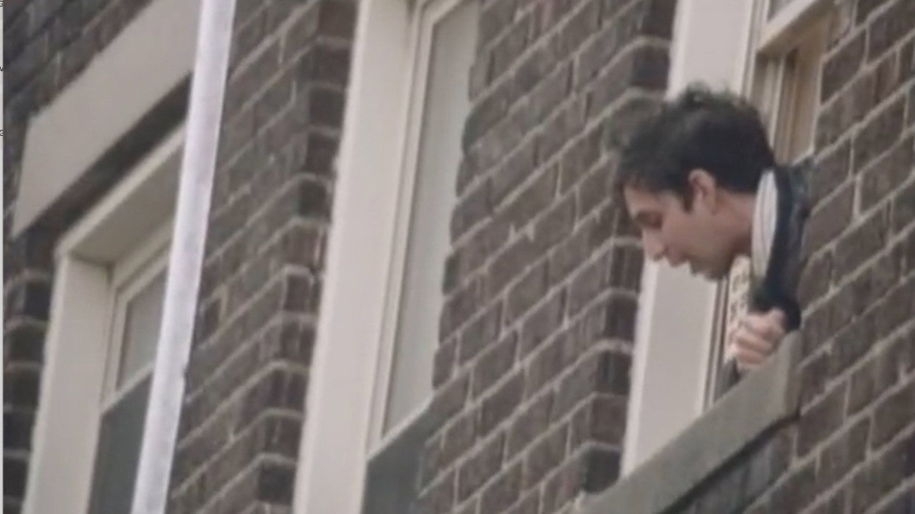 The Back of Her Head