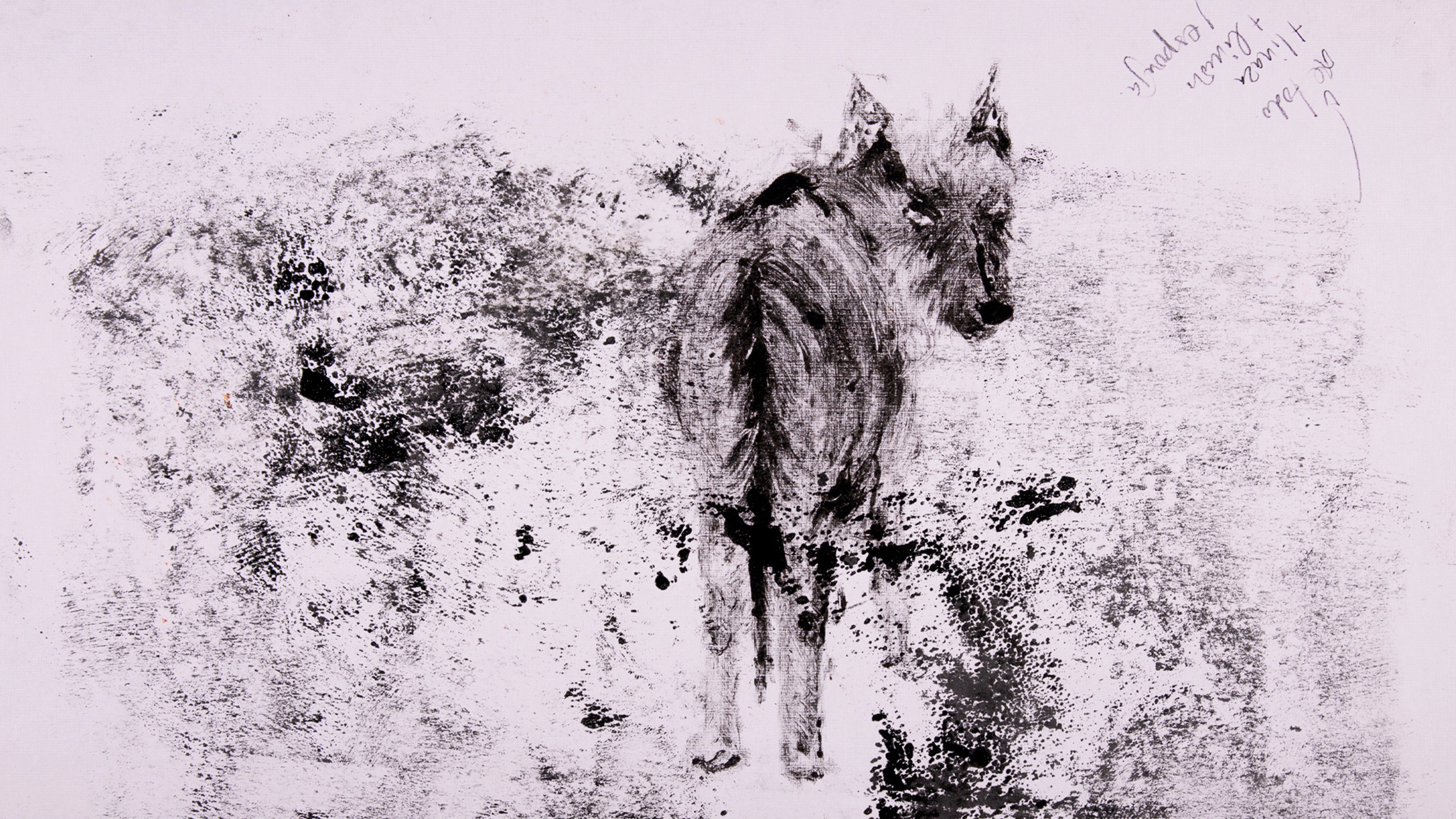 decay