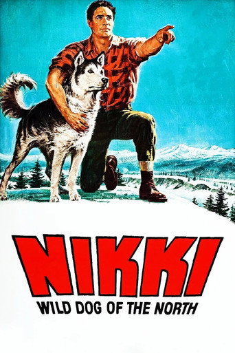Nikki, Wild Dog of the North
