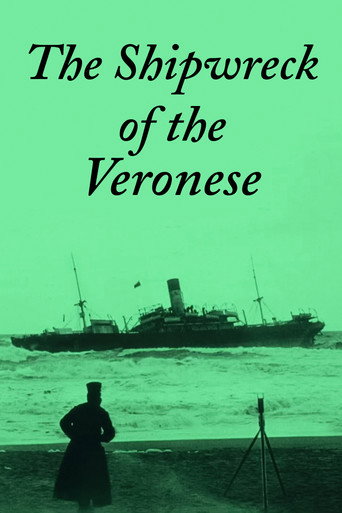 The Shipwreck of the Veronese