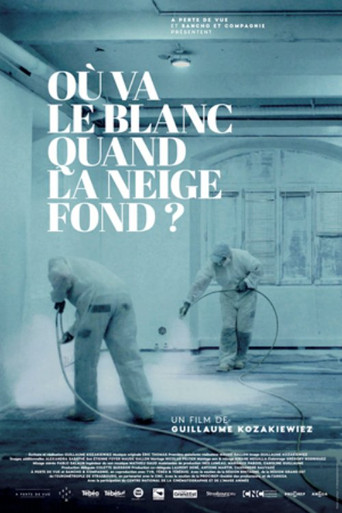 Où va le blanc quand la neige fond
