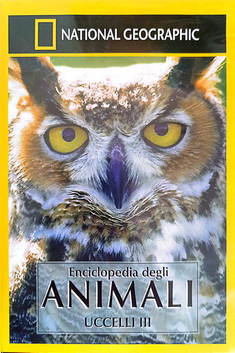 Owls: Silent Hunters