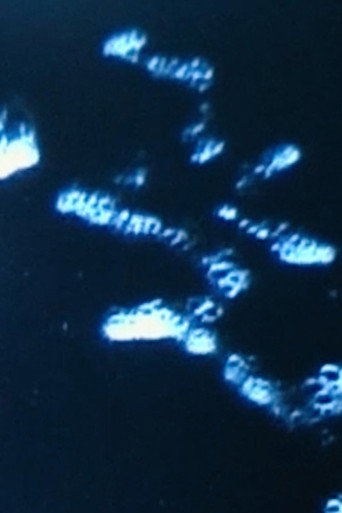 Formosa