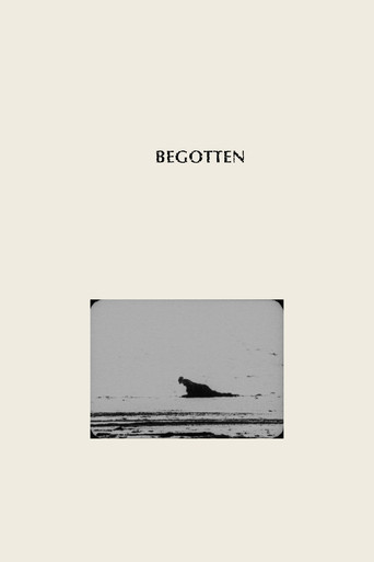 Begotten